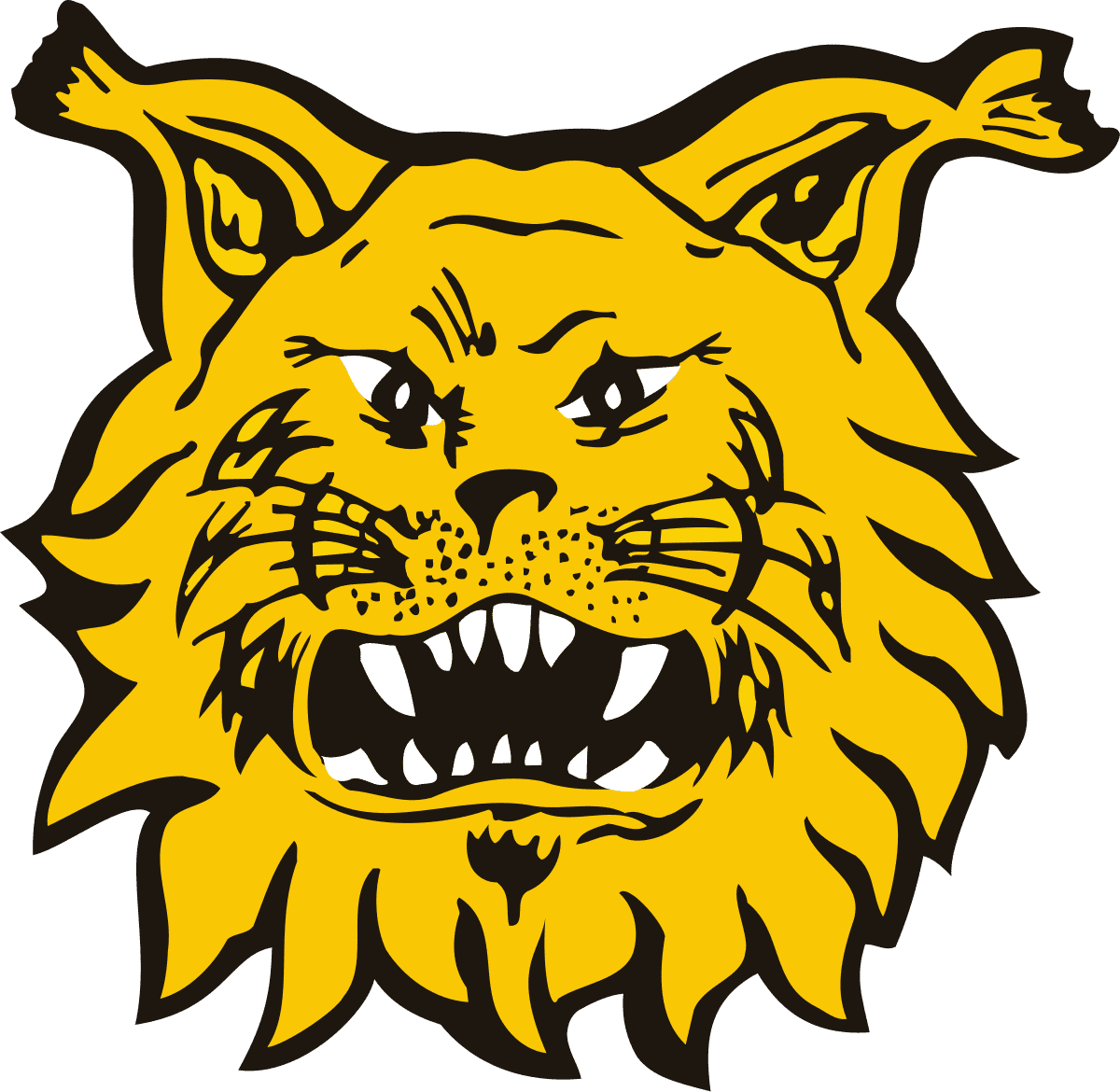  Ilves 