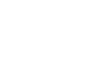 ALADIN77 BN