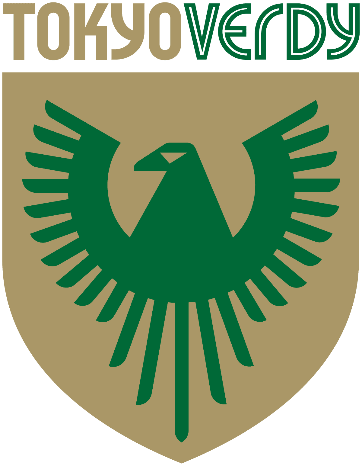  Tokyo Verdy 