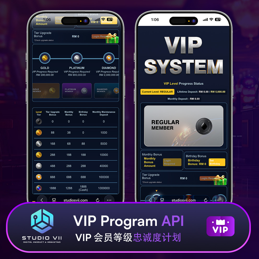 VIP Program B