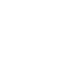 BERJAYA996