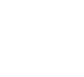 SKY77 BN